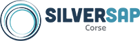 Silversap Logo